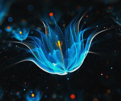 http://upforme.ru/uploads/001b/78/6e/3/141147.png