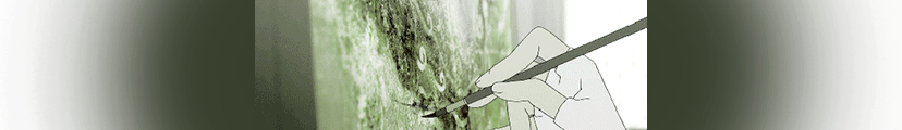 http://upforme.ru/uploads/001b/78/6e/3/505378.gif