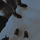 http://upforme.ru/uploads/001b/79/c6/214/467228.png