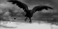 http://upforme.ru/uploads/001b/7a/84/2/610154.gif