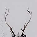 http://upforme.ru/uploads/001b/82/c7/29/20595.gif