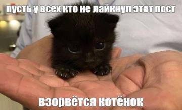 http://upforme.ru/uploads/001b/83/eb/28/t190565.jpg