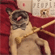 http://upforme.ru/uploads/001b/86/07/2/722011.gif