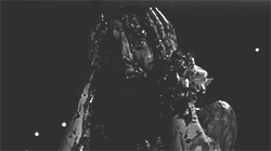http://upforme.ru/uploads/001b/8e/ea/7/158575.gif
