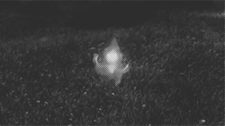 http://upforme.ru/uploads/001b/8e/ea/7/796448.gif