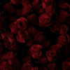 http://upforme.ru/uploads/001b/8f/4b/15/419554.png