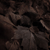 http://upforme.ru/uploads/001b/8f/4b/3/953773.png