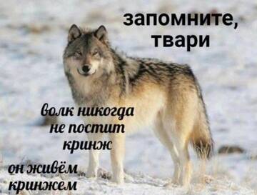 http://upforme.ru/uploads/001b/92/8e/11/t368054.jpg