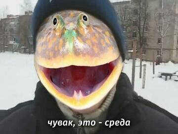 http://upforme.ru/uploads/001b/92/8e/7/t701429.jpg