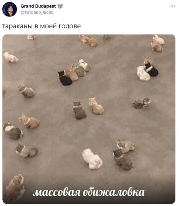 http://upforme.ru/uploads/001b/92/8e/7/t759763.jpg