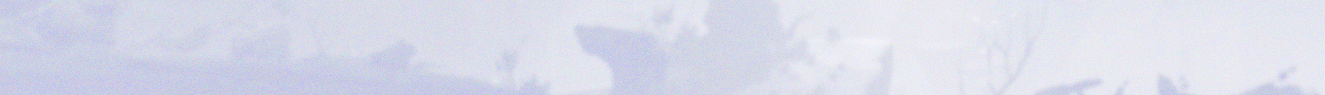 http://upforme.ru/uploads/001b/92/b9/2/844967.png