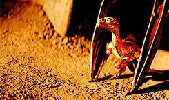 http://upforme.ru/uploads/001b/93/39/2/524265.gif