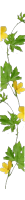 http://upforme.ru/uploads/001b/94/c0/73/533330.png