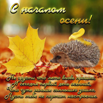 http://upforme.ru/uploads/001b/95/85/12/t168363.jpg