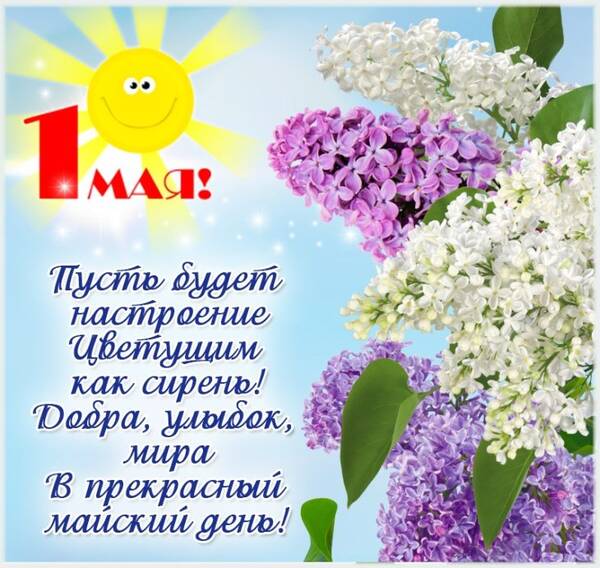 http://upforme.ru/uploads/001b/95/85/3/t417487.jpg