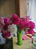 http://upforme.ru/uploads/001b/95/85/44/t734066.jpg