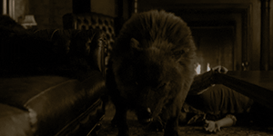 http://upforme.ru/uploads/001b/9d/1e/2/336162.gif