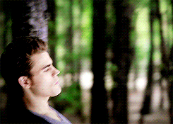 http://upforme.ru/uploads/001b/9d/fd/2/981766.gif