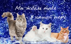 http://upforme.ru/uploads/001b/a1/7a/2/t235613.png