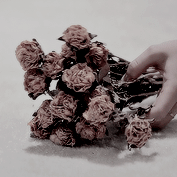 http://upforme.ru/uploads/001b/a1/ed/2/657769.gif