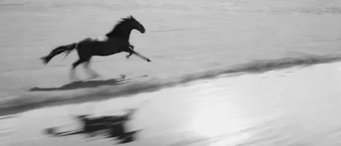 http://upforme.ru/uploads/001b/a3/62/2/142813.gif