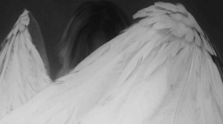 http://upforme.ru/uploads/001b/a5/26/2/67459.gif