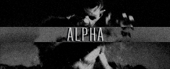 http://upforme.ru/uploads/001b/a7/96/5/205185.gif