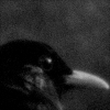http://upforme.ru/uploads/001b/a7/96/5/250601.gif