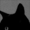 http://upforme.ru/uploads/001b/a7/96/5/486988.gif