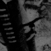 http://upforme.ru/uploads/001b/a7/96/5/734035.gif