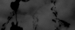 http://upforme.ru/uploads/001b/a7/96/5/861961.gif