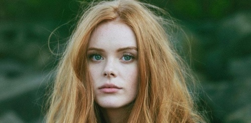 http://upforme.ru/uploads/001b/a8/d4/19/793311.jpg