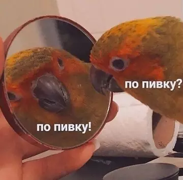 http://upforme.ru/uploads/001b/a9/e4/2/t127331.webp