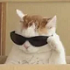 http://upforme.ru/uploads/001b/a9/e4/34/609901.png