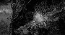 http://upforme.ru/uploads/001b/aa/f8/5/t37866.gif