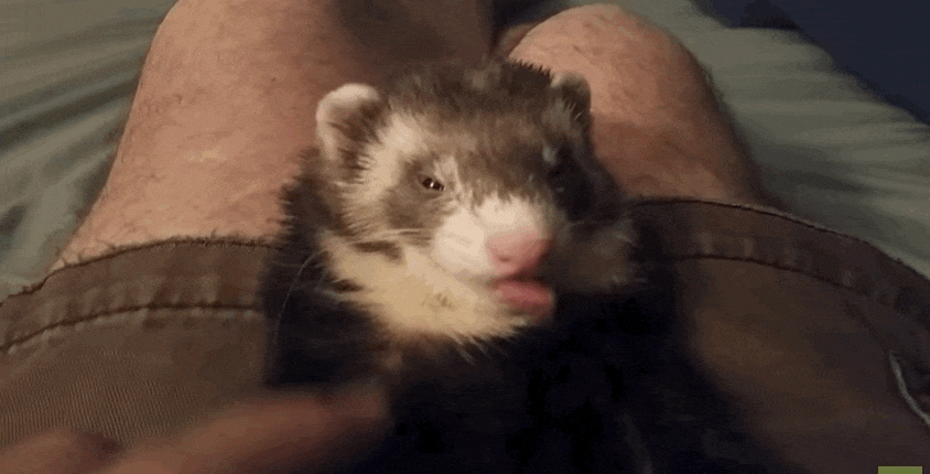 http://upforme.ru/uploads/001b/ab/73/17/692450.gif