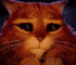 http://upforme.ru/uploads/001b/ab/73/24/t95228.gif