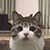 http://upforme.ru/uploads/001b/ad/0b/5/106425.gif
