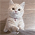 http://upforme.ru/uploads/001b/ad/0b/5/274249.gif