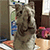http://upforme.ru/uploads/001b/ad/0b/5/27591.gif