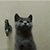 http://upforme.ru/uploads/001b/ad/0b/5/297775.gif
