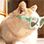 http://upforme.ru/uploads/001b/ad/0b/5/50370.gif