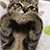 http://upforme.ru/uploads/001b/ad/0b/5/542781.gif
