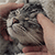 http://upforme.ru/uploads/001b/ad/0b/5/561245.gif