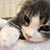 http://upforme.ru/uploads/001b/ad/0b/5/642592.gif