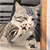 http://upforme.ru/uploads/001b/ad/0b/5/695224.gif