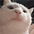 http://upforme.ru/uploads/001b/ad/0b/5/709922.gif