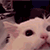 http://upforme.ru/uploads/001b/ad/0b/5/844412.gif