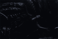 http://upforme.ru/uploads/001b/af/5b/81/458921.gif