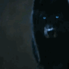 http://upforme.ru/uploads/001b/b1/34/4/107578.gif